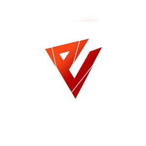 VE ESPORTS